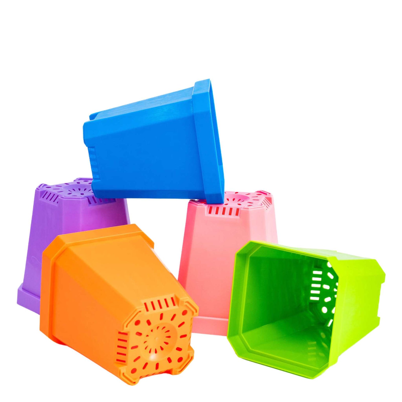 Multicolor 5" Nursery Pots