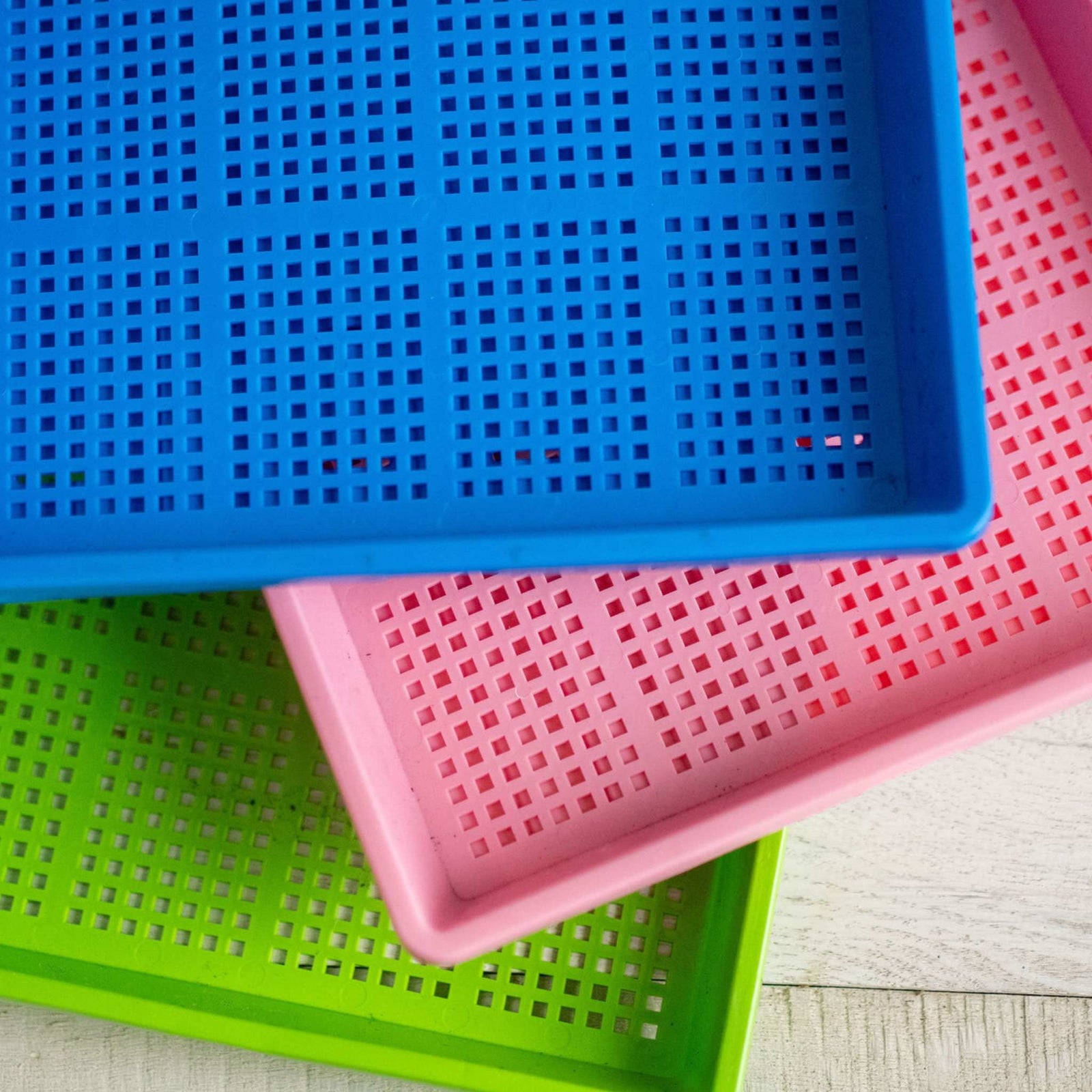 Multicolor shallow mesh trays