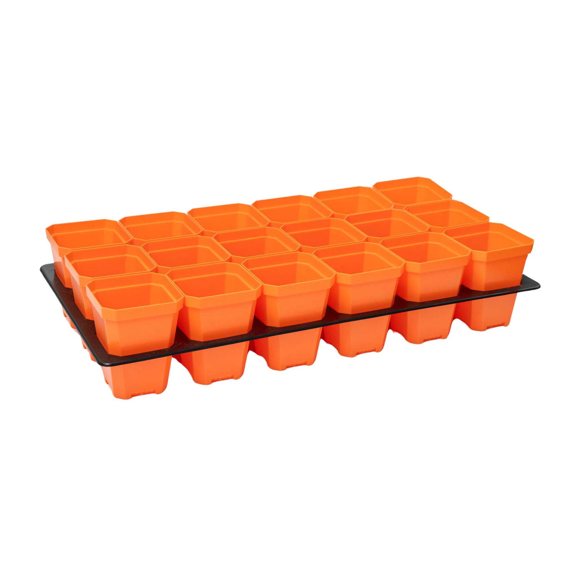 Orange 3.3" Pot with Inserts