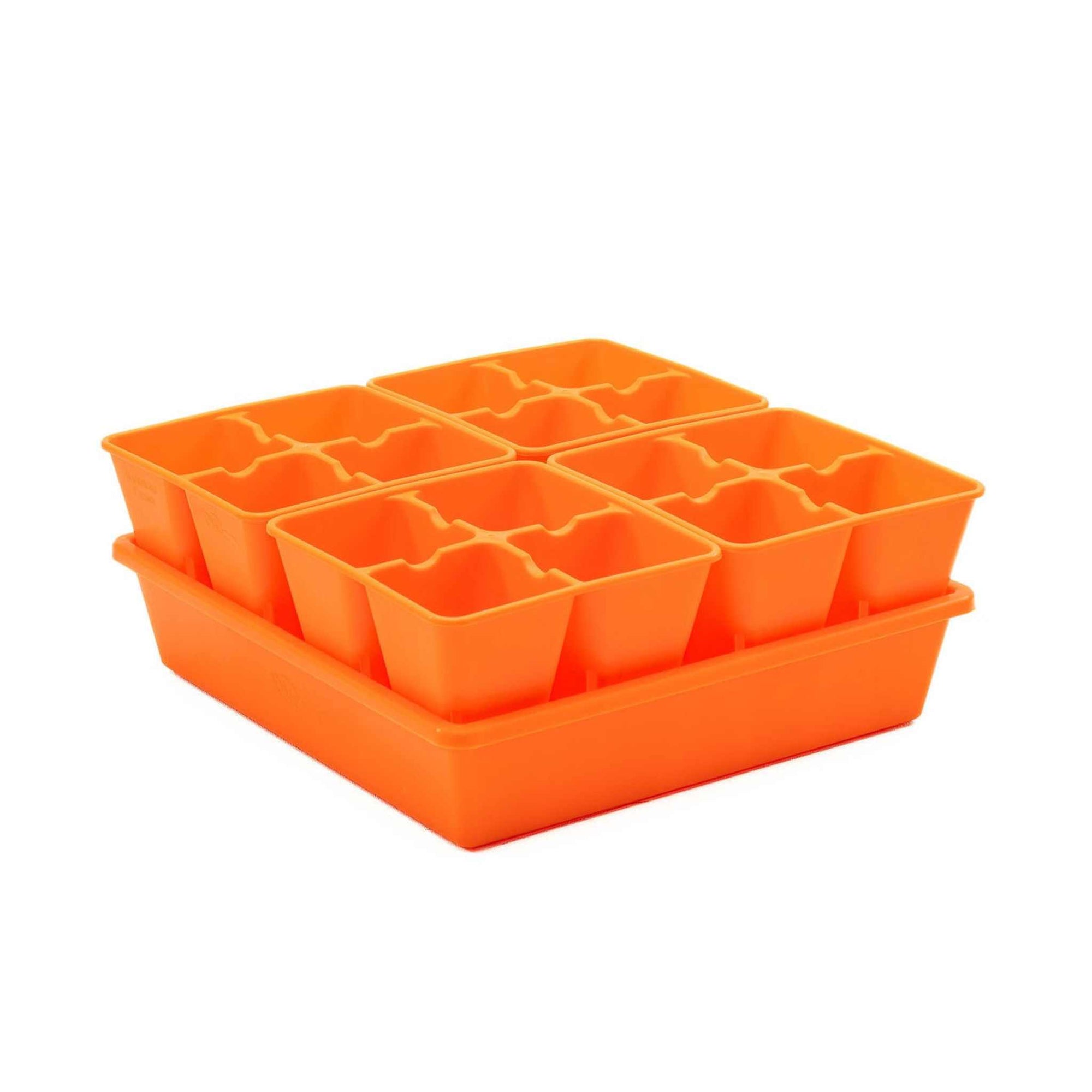 Orange 4 cell plug inserts in a 1010 tray