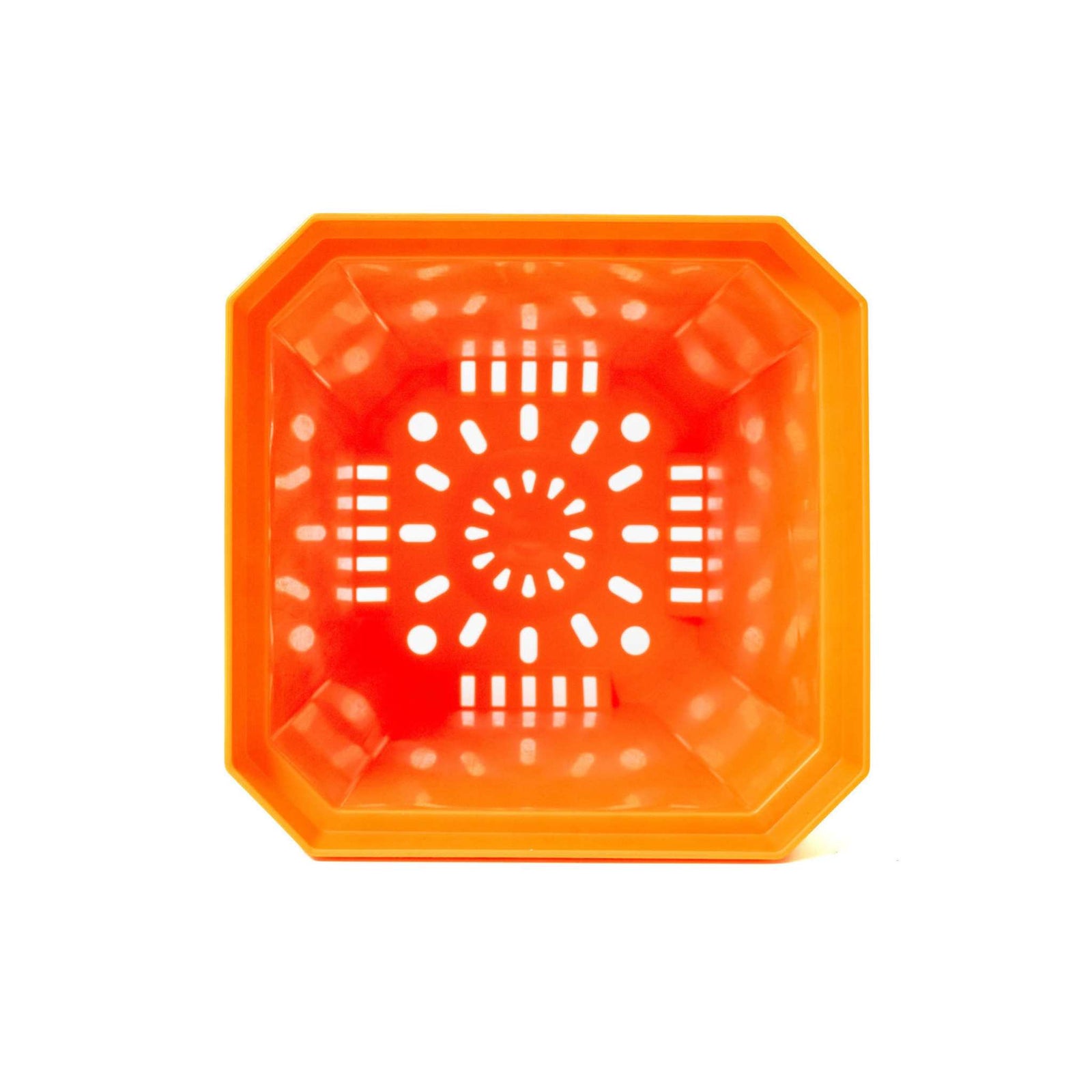 inside view of 5" orange pot