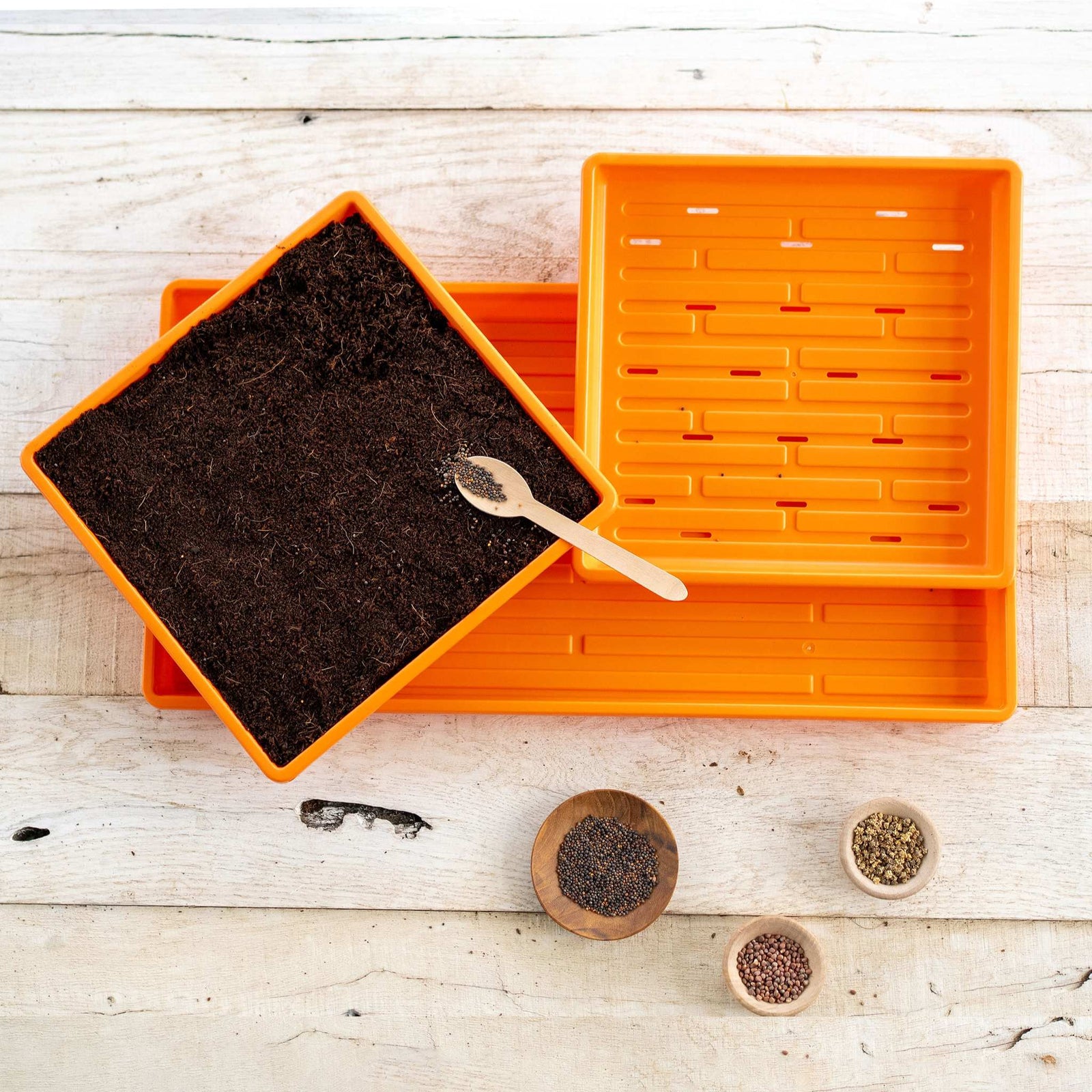 orange 1010 microgreens kit in use