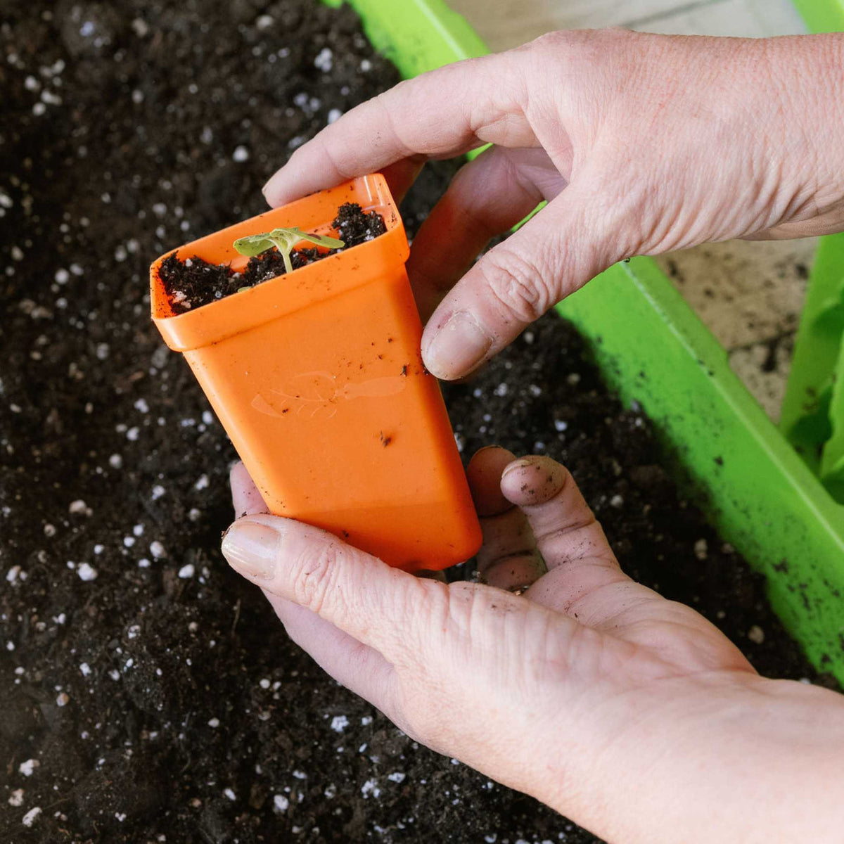 Orange 2.5 Seed Starting Pot Lifestyle