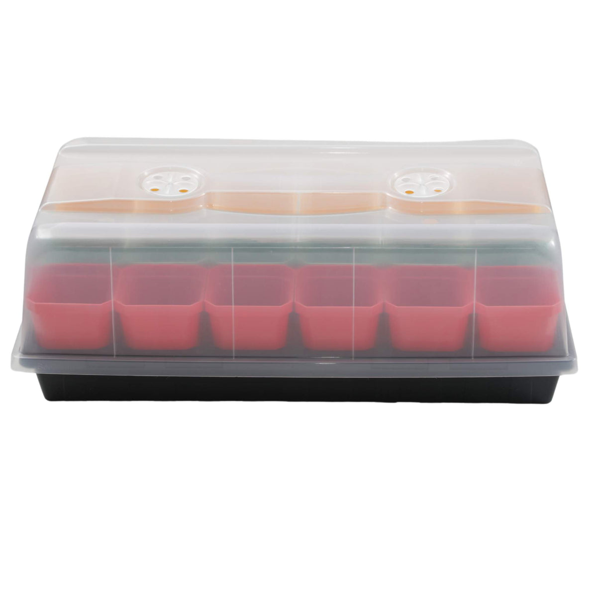 Pepper Geek Starter Kit with frosted humidity dome covering a 1020 tray with red 3.3 inch pots.