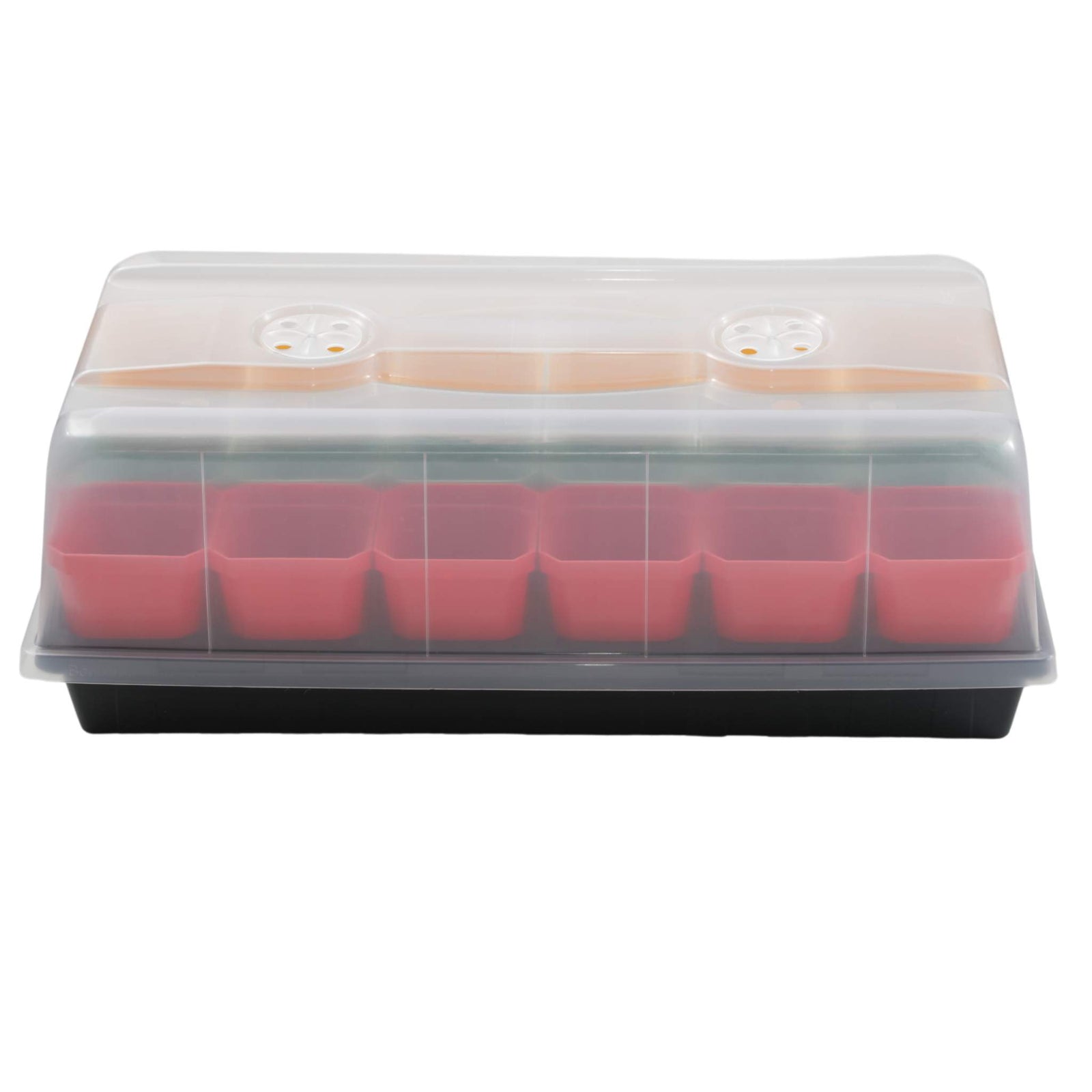 Pepper Geek Starter Kit with frosted humidity dome covering a 1020 tray with red 3.3 inch pots.