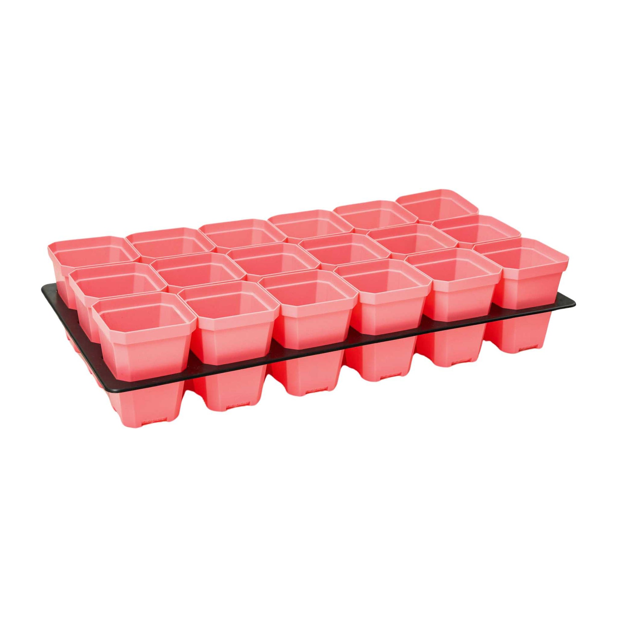(18) Pink 3.3" Pots with Insert