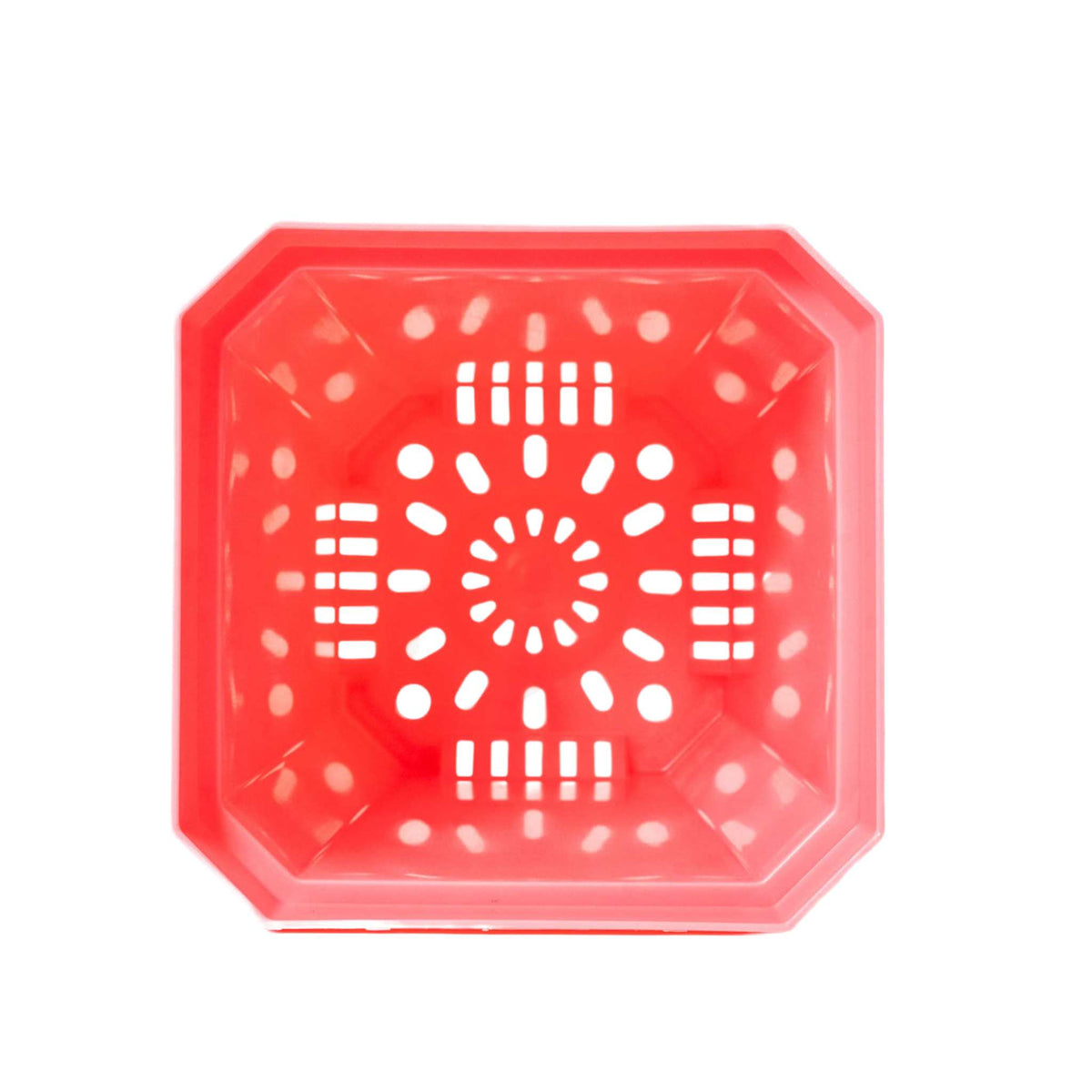 inside view 5" pink nursery pot