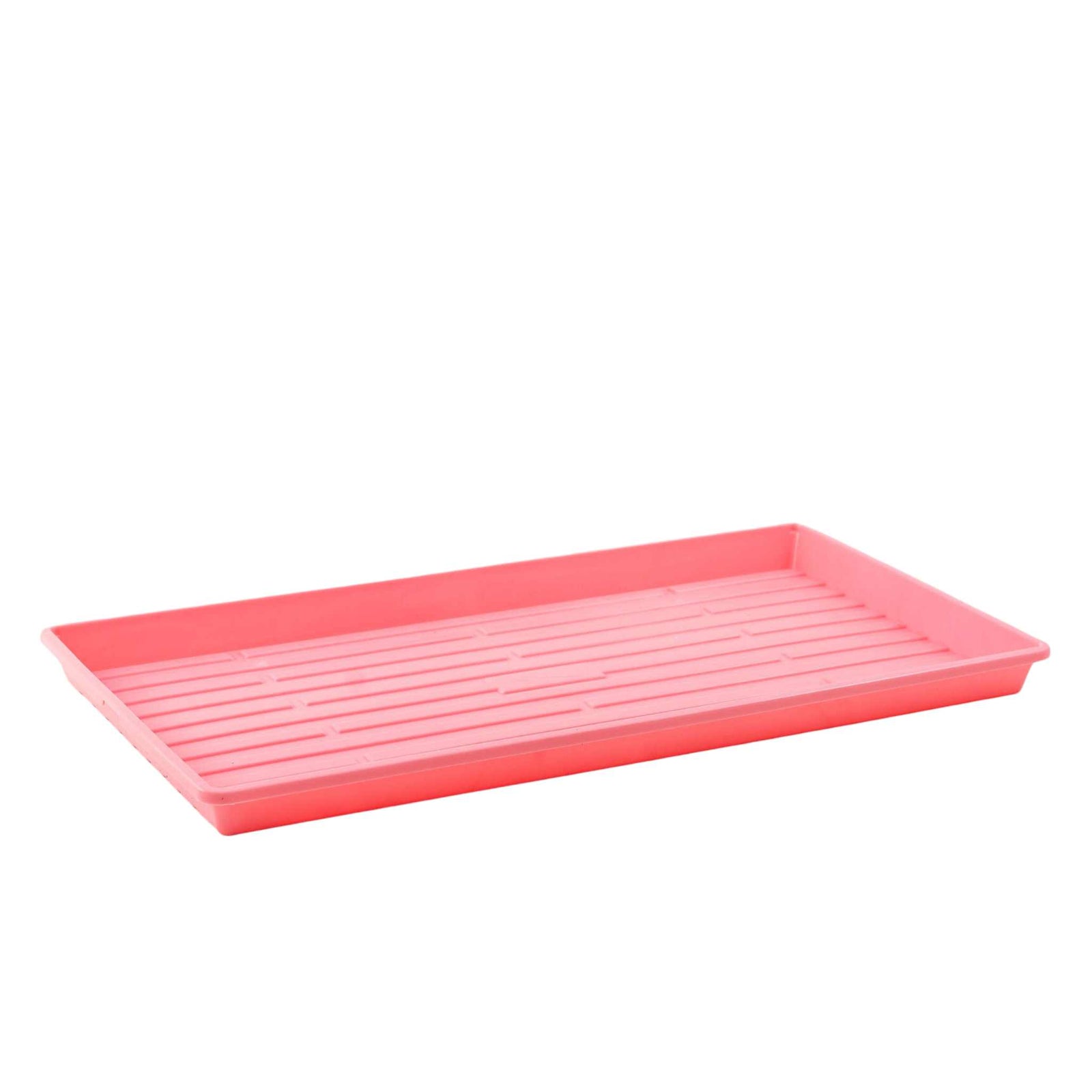 Pink Shallow 1020 Microgreen Tray with No Holes