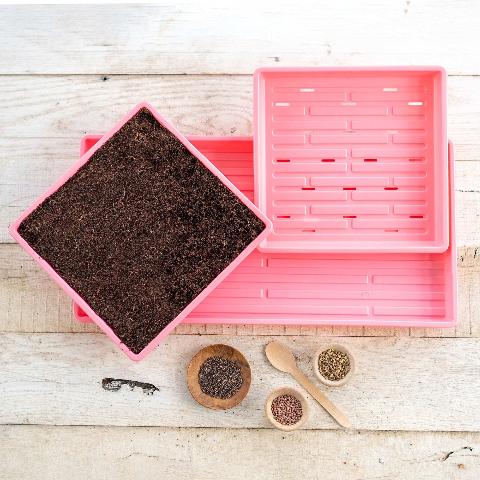 pink 1010 microgreens kit in use
