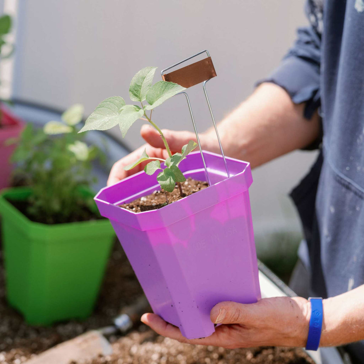 plant nursery pot 5" Reusable Heavy Duty Seed Starting Pots