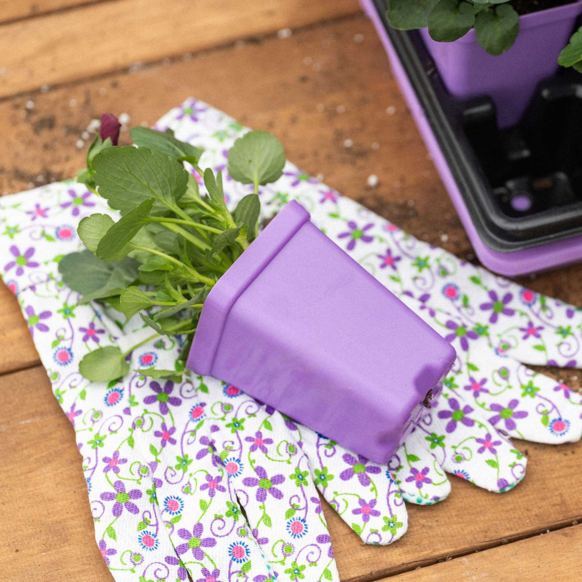 plant pot seed starter Seed Starter Pots - 2.5" Extra Strength - 80 Pots / Orange
