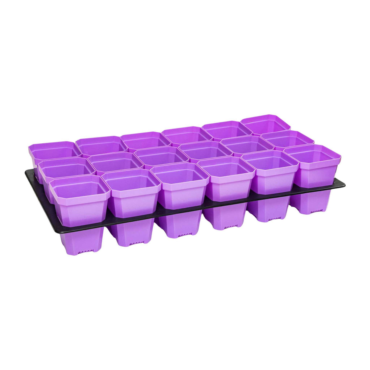 purple 3.3 inch pots with insert