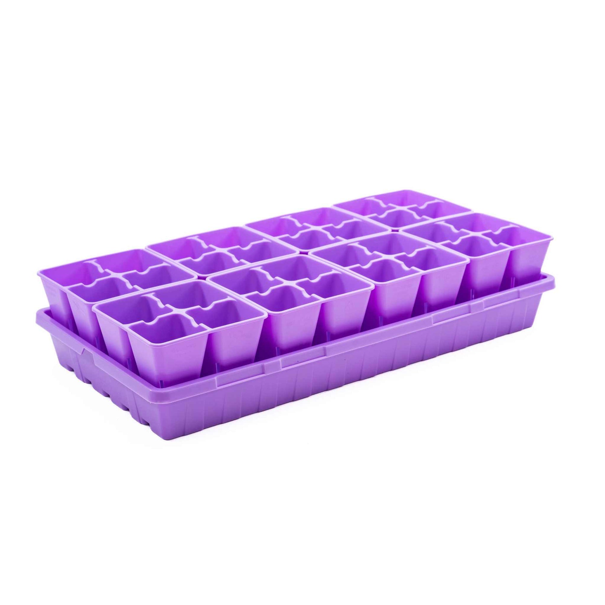 Purple 4 Cells in a 1020 tray