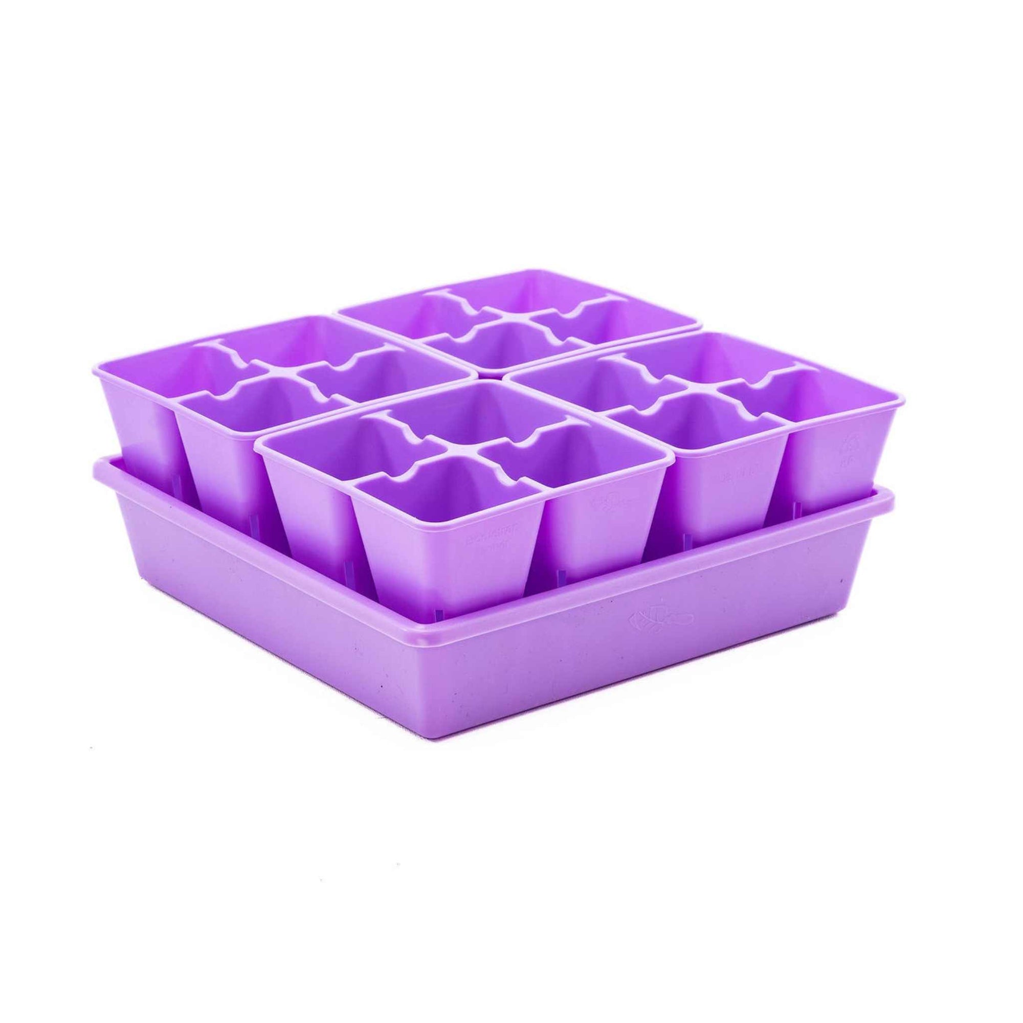 Purple 4 Cell plug trays in a 1010 tray