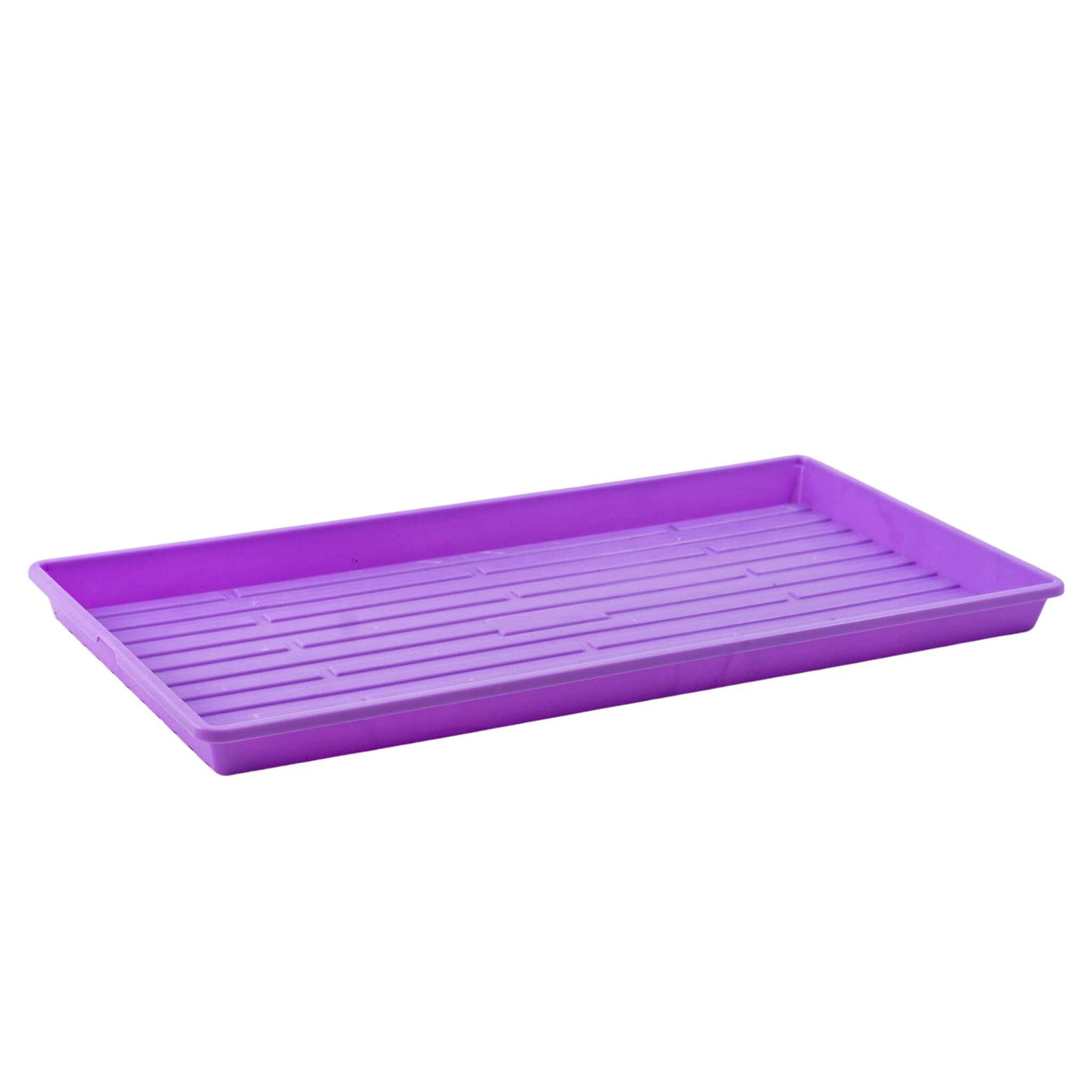 Purple Shallow Microgreen Tray with No Holes