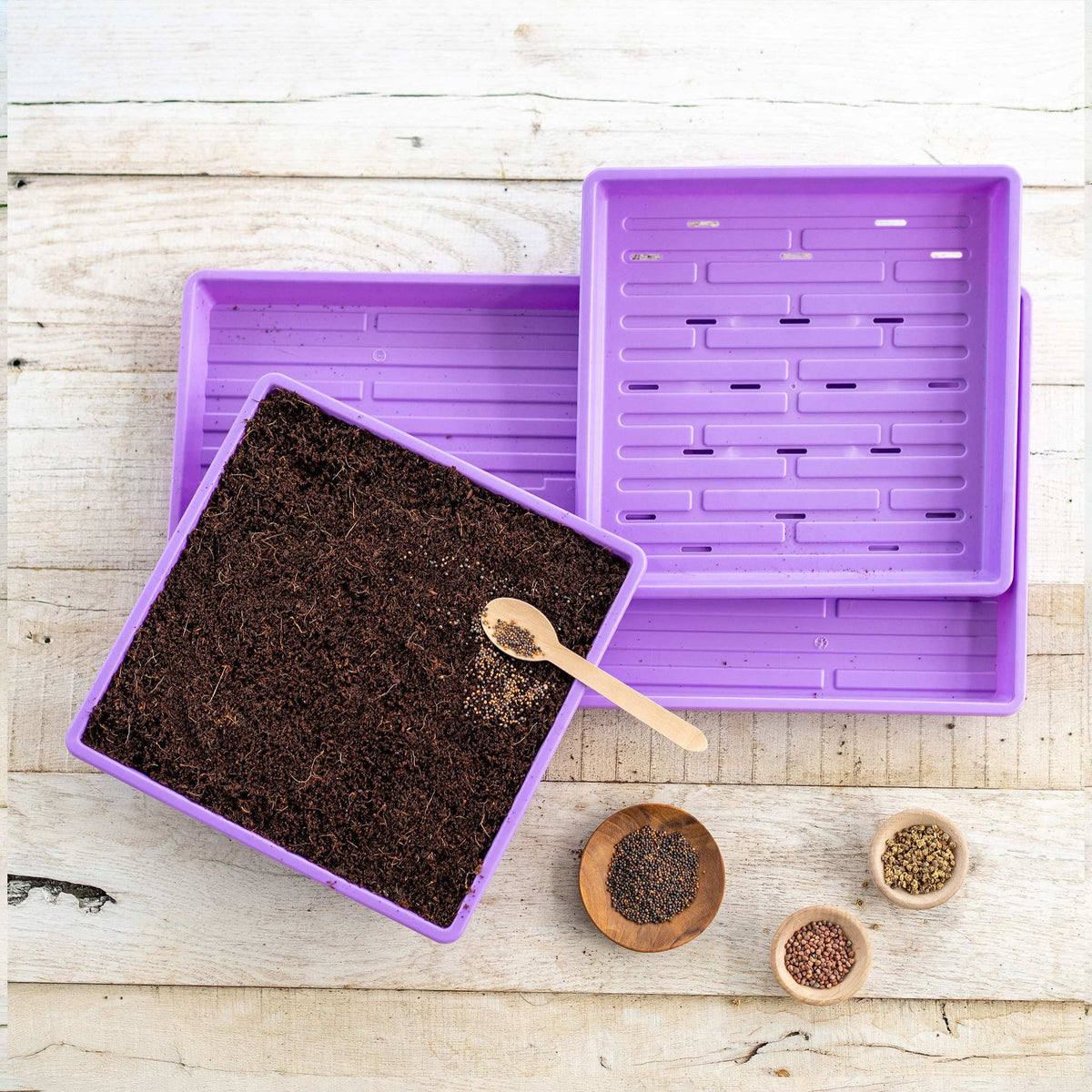 purple 1010 microgreens kit in use
