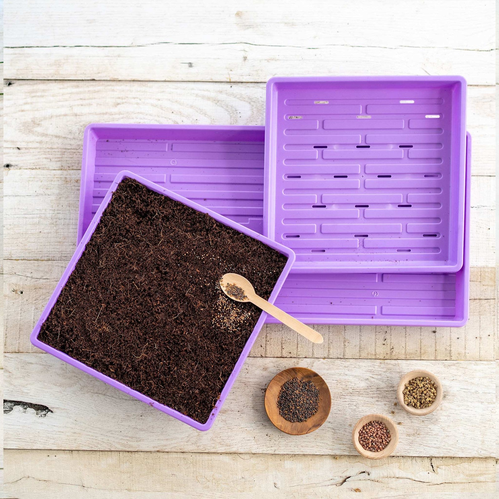 purple 1010 microgreens kit in use
