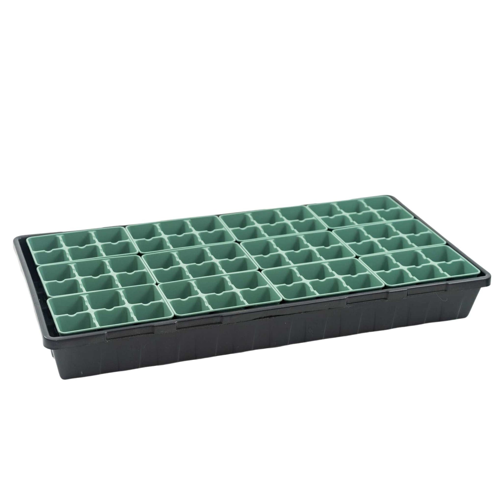 Sage 6 cell insert in 1020 black deep tray