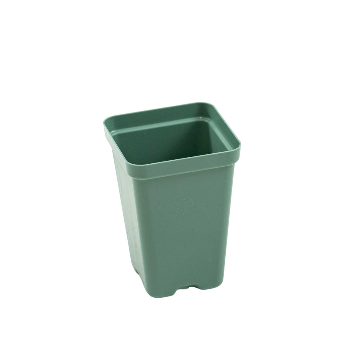 Sage Whispering Willow Pot