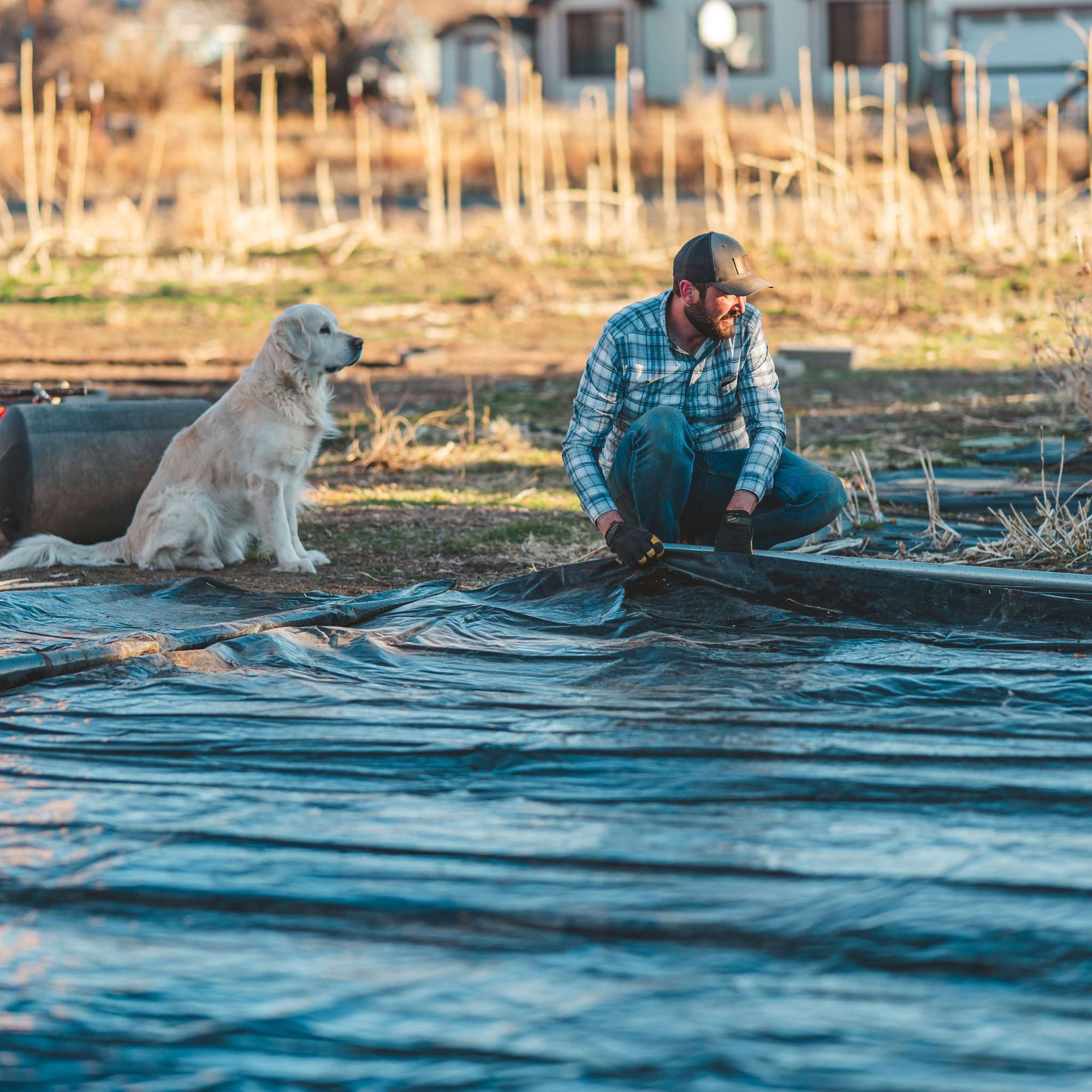 flower farmer securing silage tarp for weed control on flower farm
