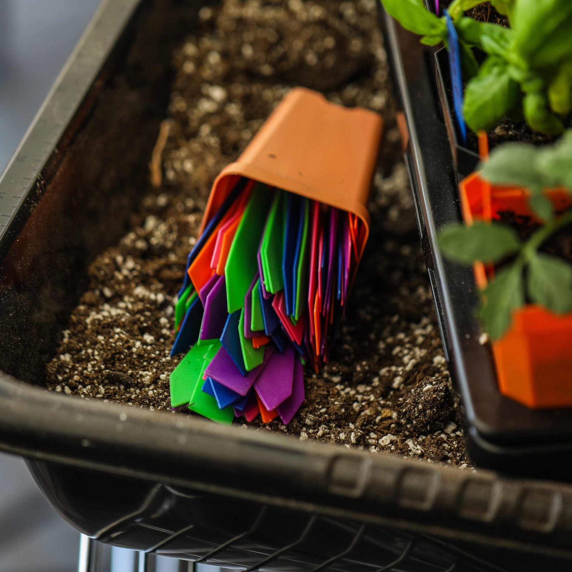 colored plastic plant labels Multi-color Plant Labels | 100 count