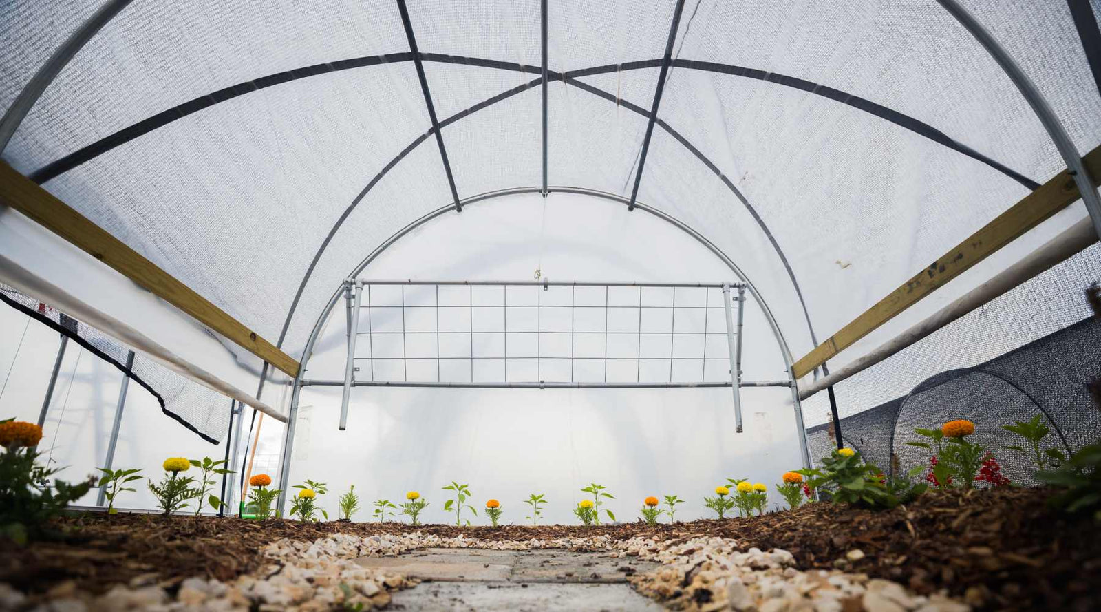 shade cloth over hobby high tunnel
