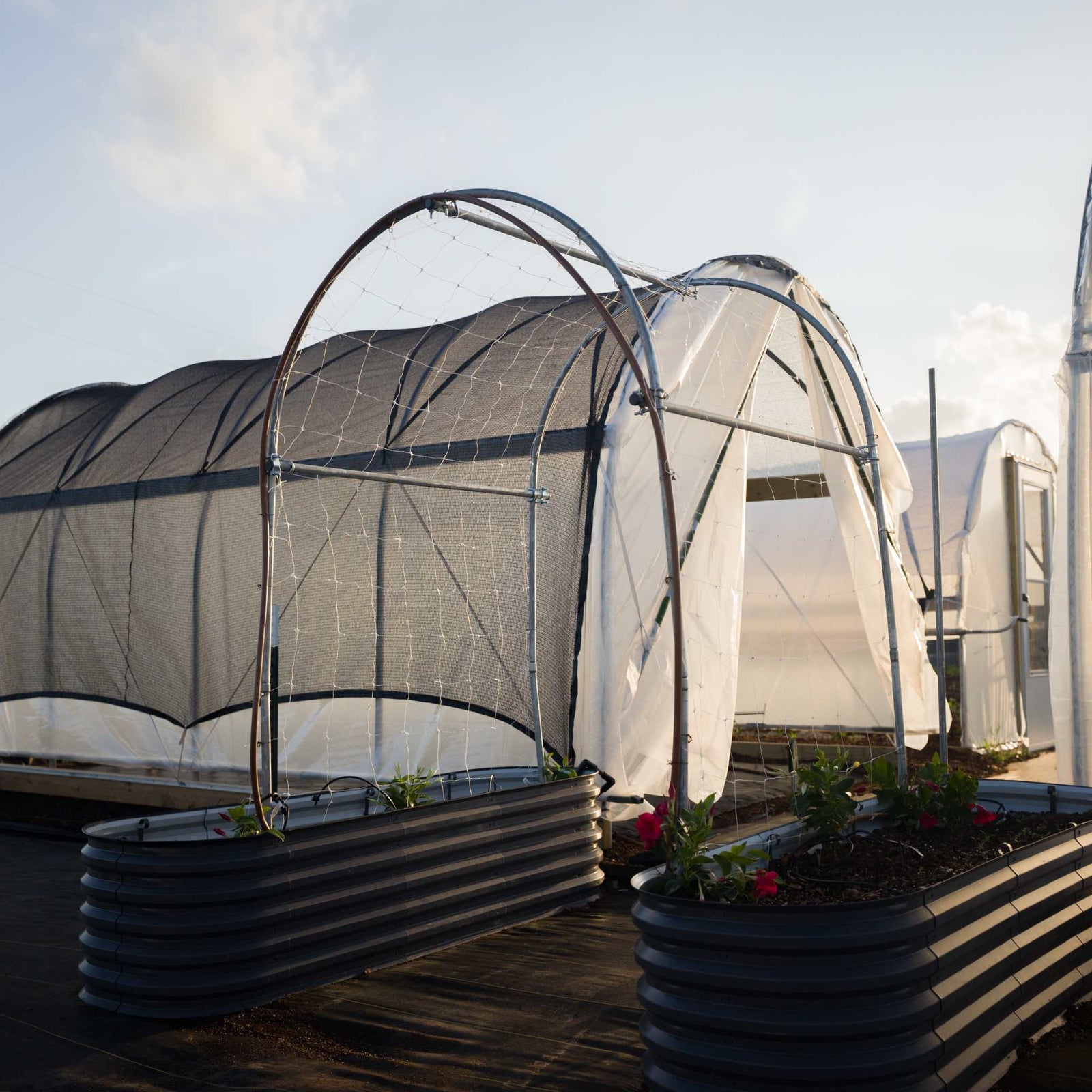Essential 10' High tunnel