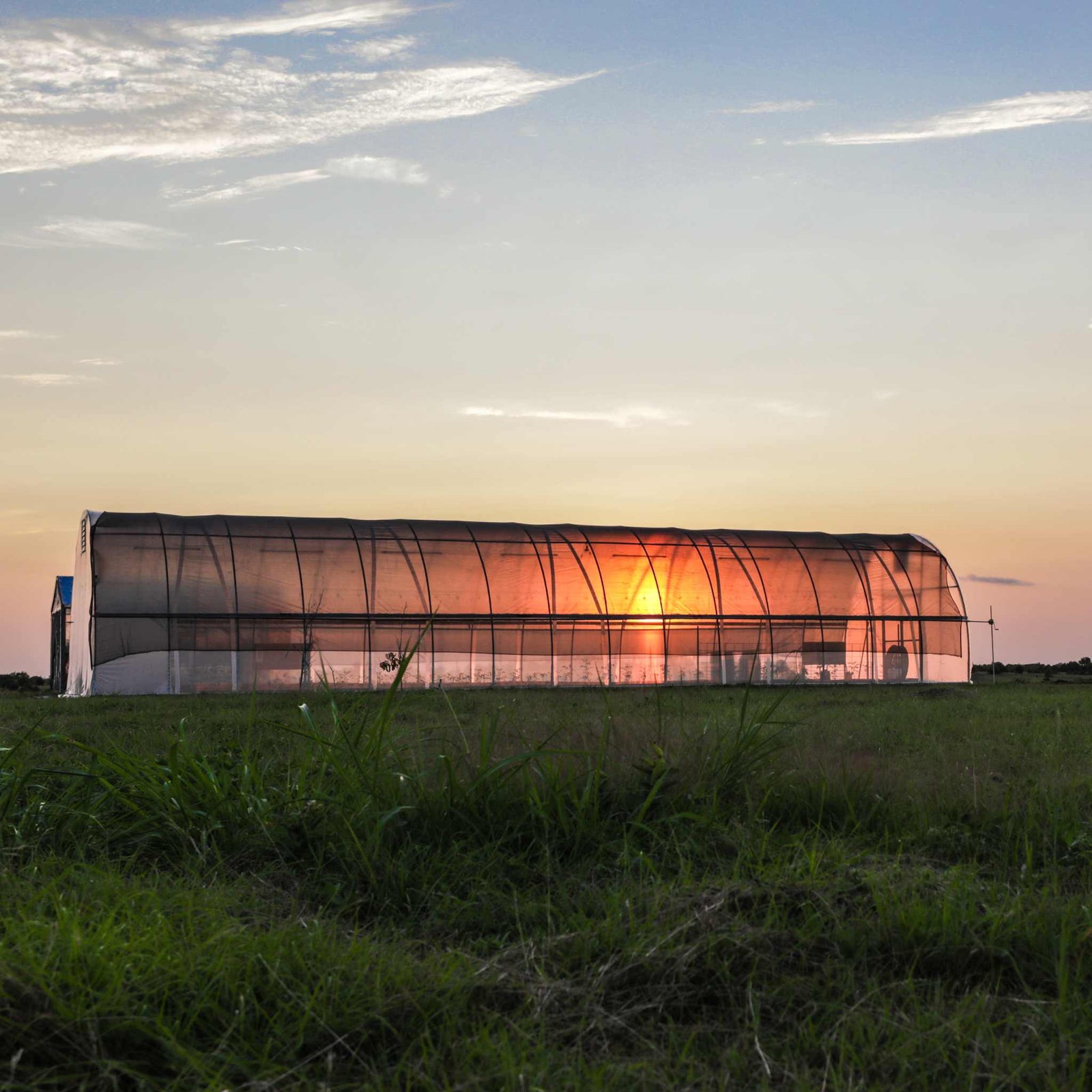 All-Steel Greenhouse Kit | Bootstrap Farmer - Bootstrap Farmer