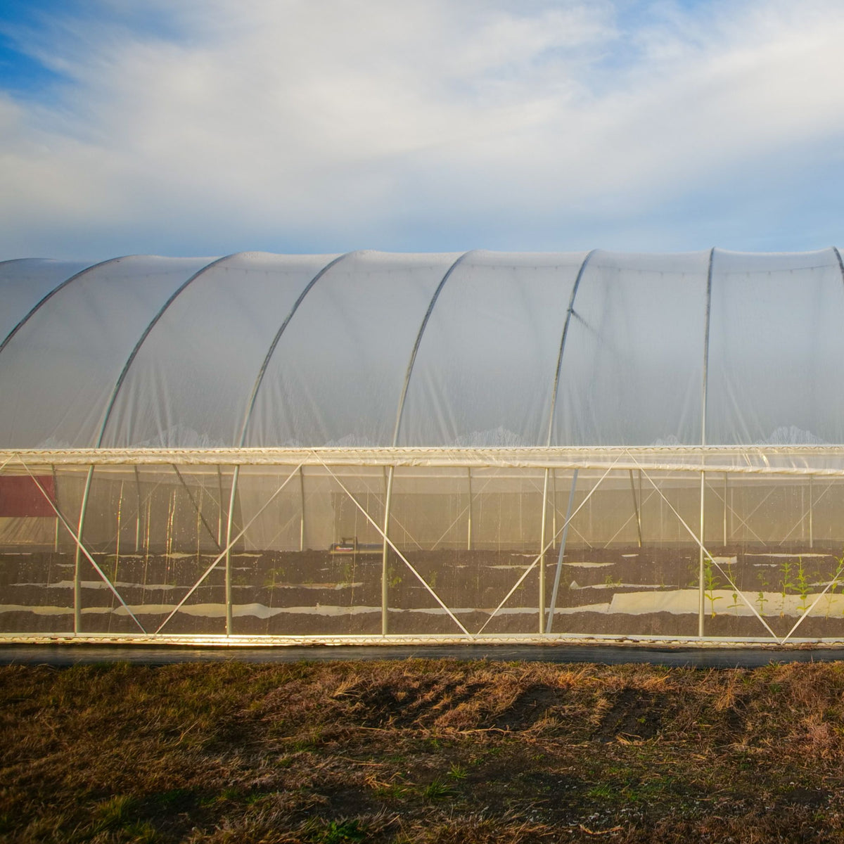 side view of tunnel with rolled up sides with installed strapping