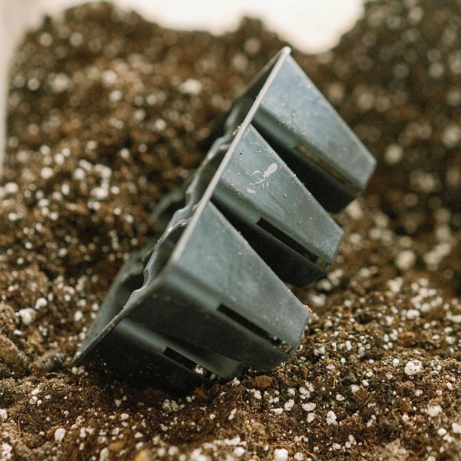 side view of empty 6 cell in dirt