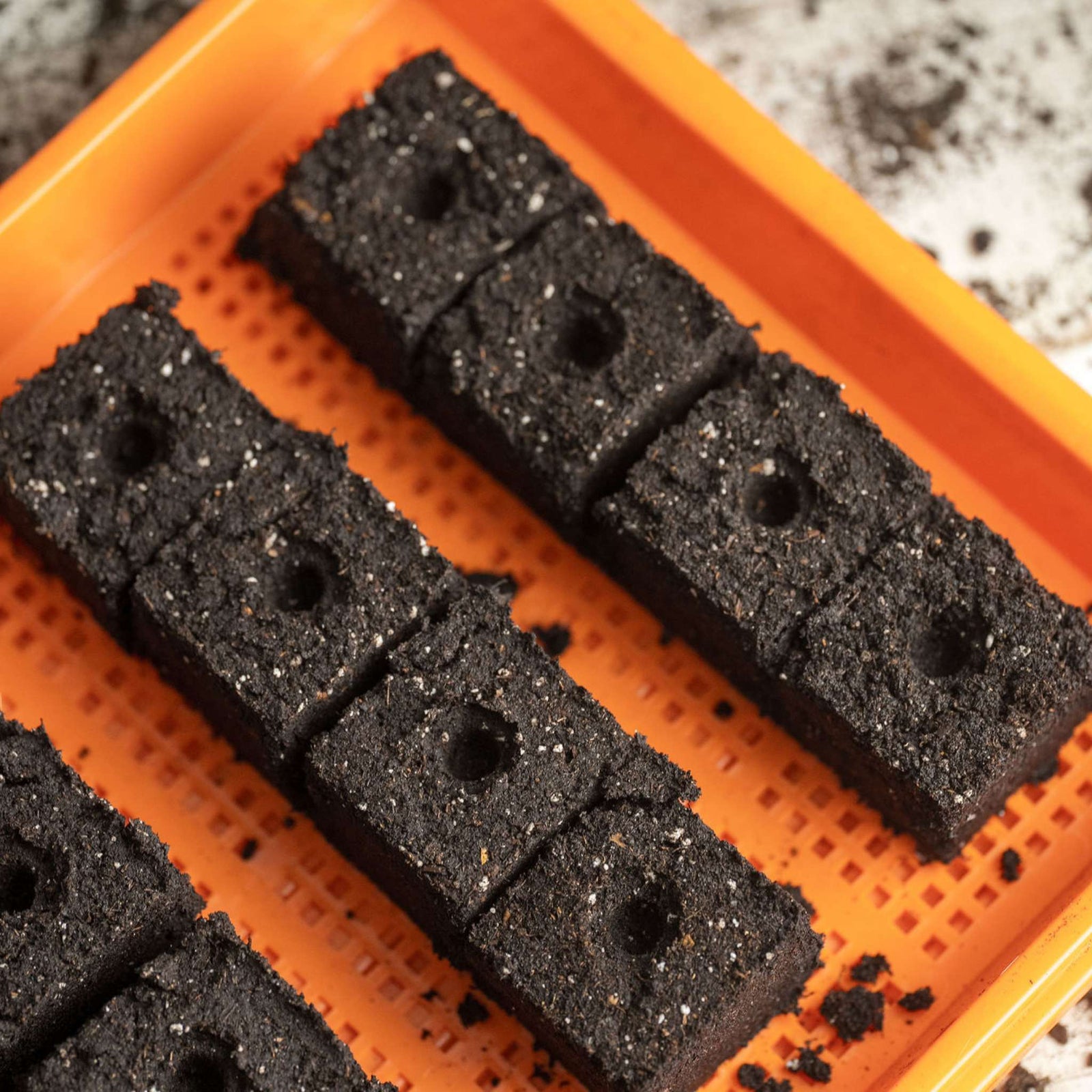 small soil blocks on mesh tray