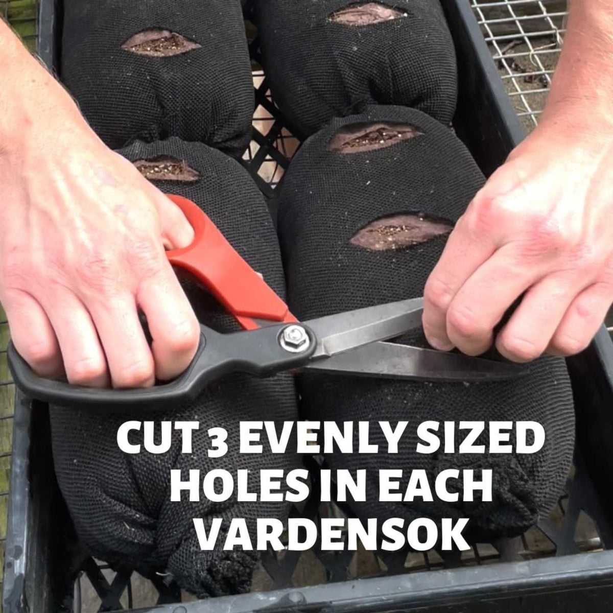 Soil filled vardensok with slit cut for plant