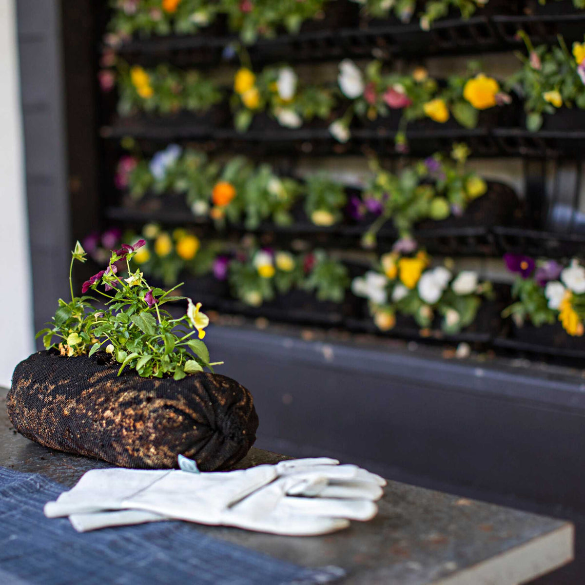 Soil filled vardensok with flowers