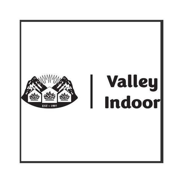 Valley Indoor logo
