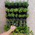 Varden Kitchen Garden with herbs planted