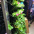 varden sleeve installation with flowers