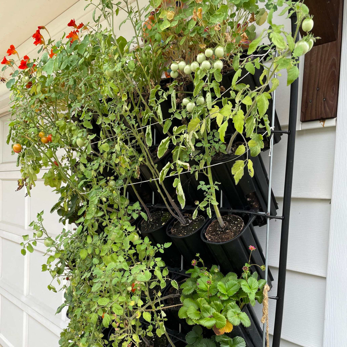 varden sleeve installation with tomatoes and edible flowers