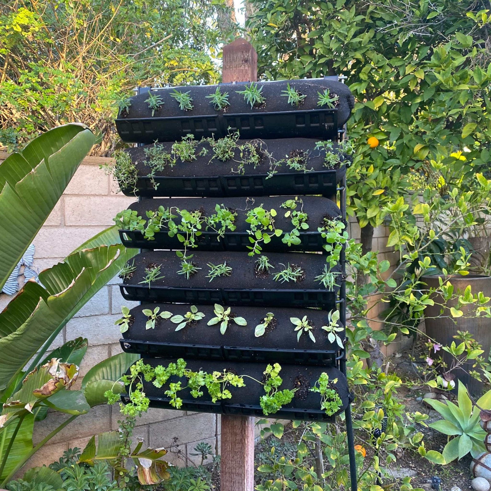 Varden trays installed with vardensocks and attached to post in garden