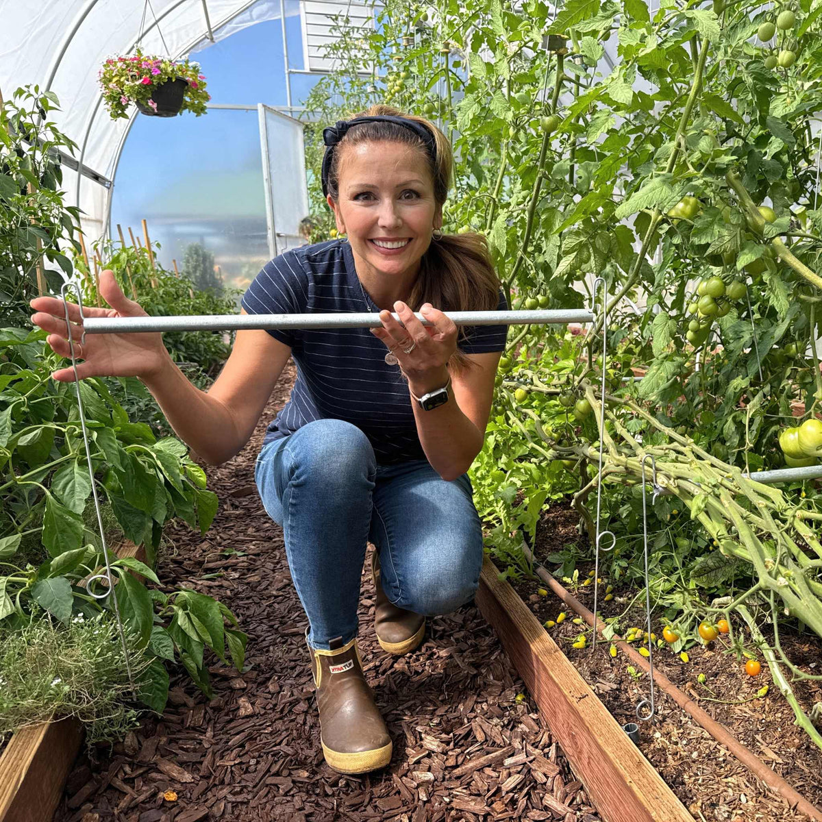 Vine Buddy Trellis kit in greenhouse