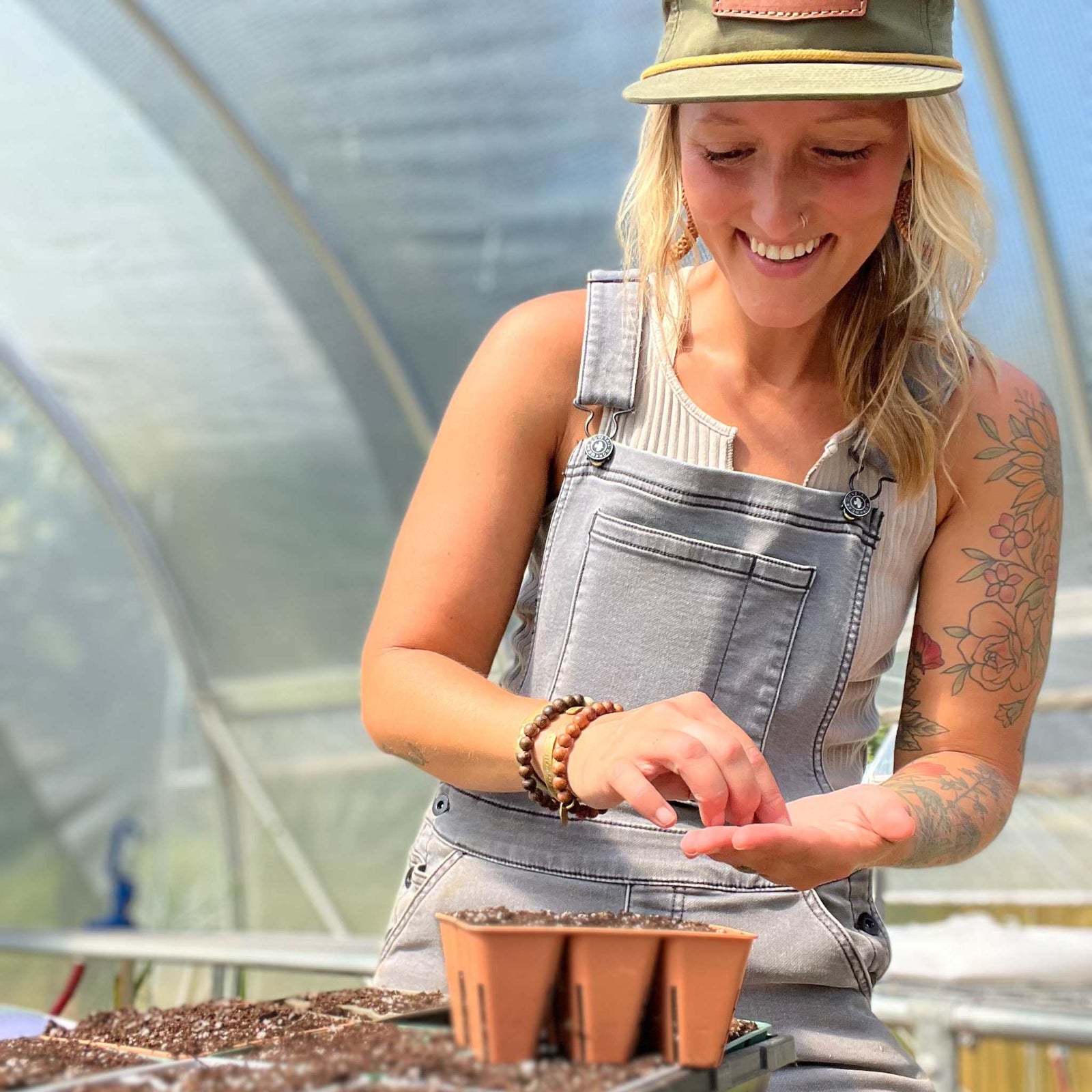 Whispering Willow Jill Ragan seeding 6 cell chrysanthemum 