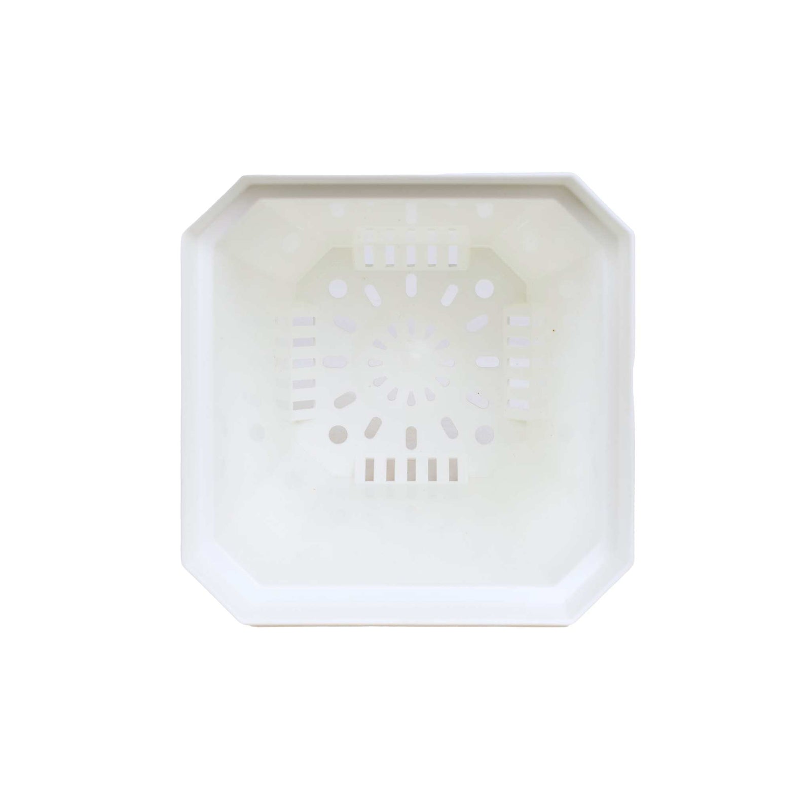 inside view 5" white nursery pot