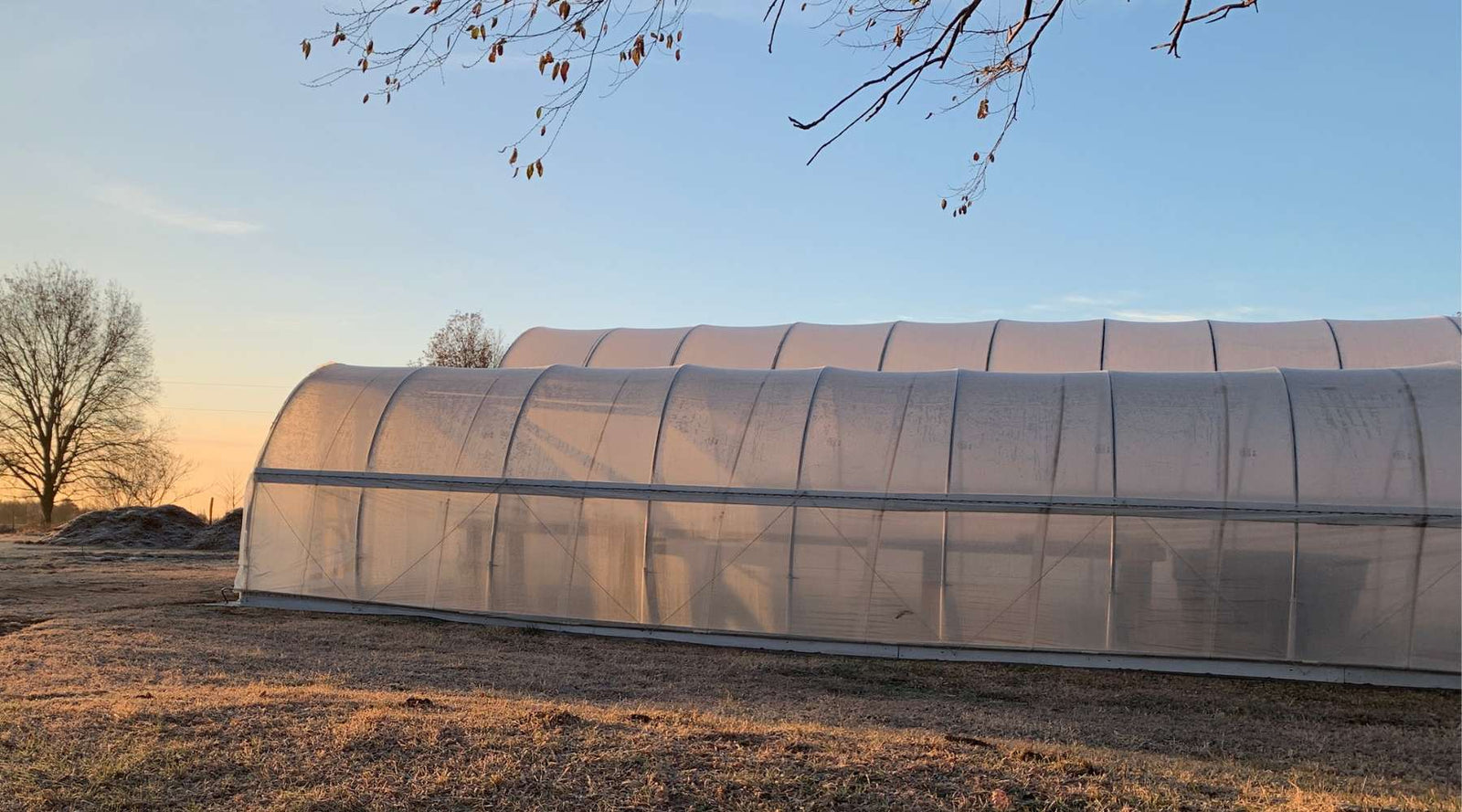 shot of multiple high tunnels on market farm