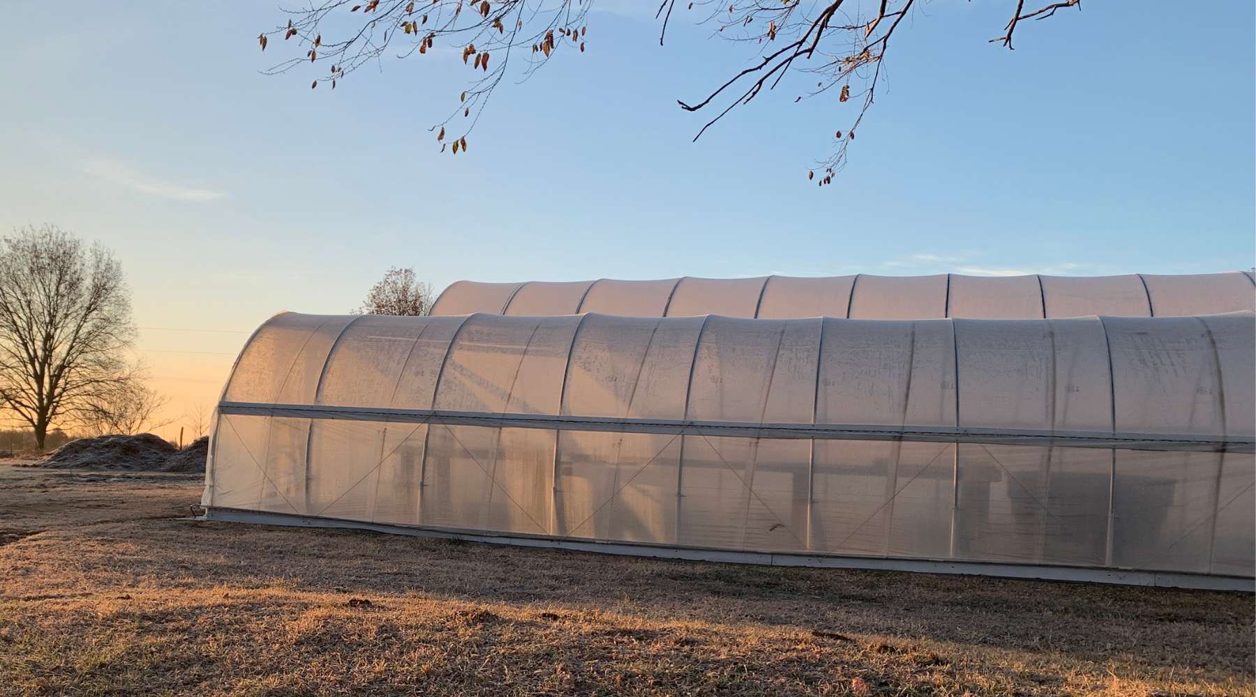 shot of multiple high tunnels on market farm