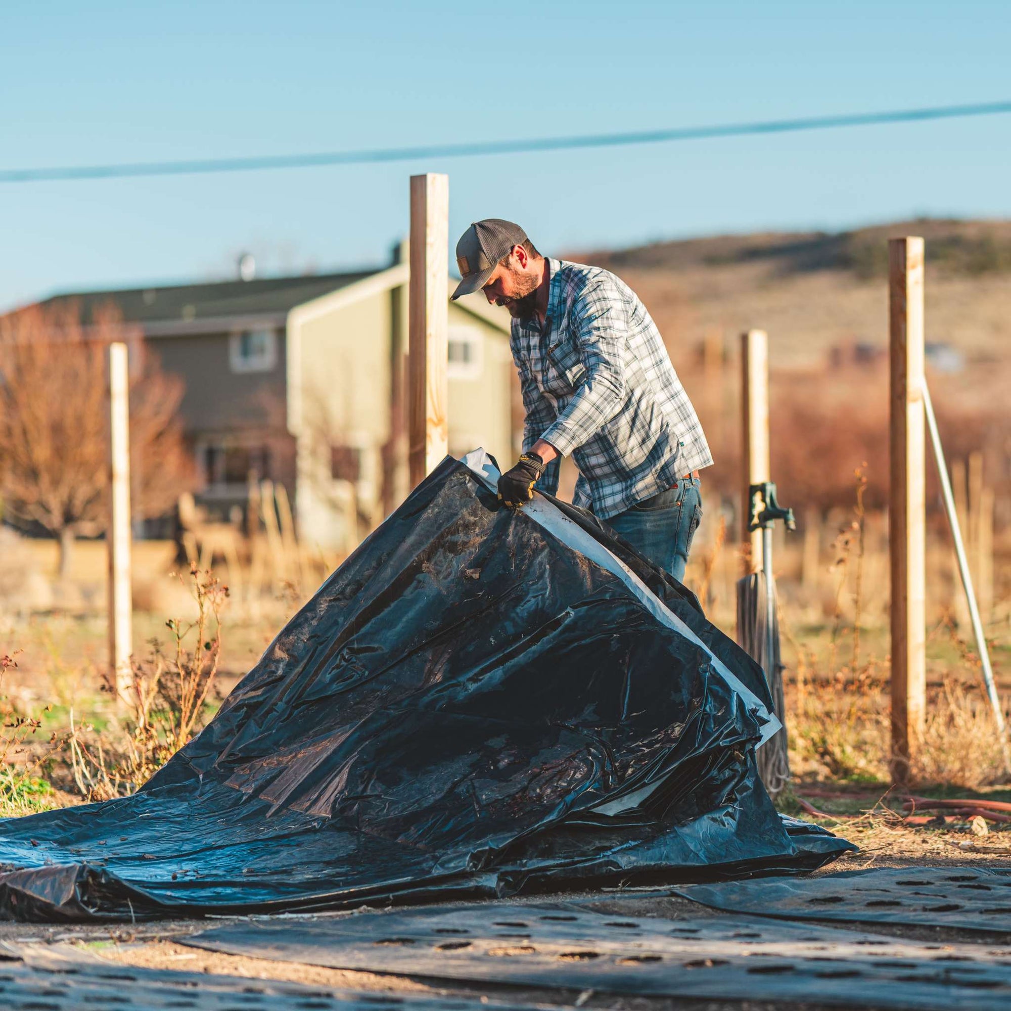 flower farmer unfolding silage tarp to lay out on field