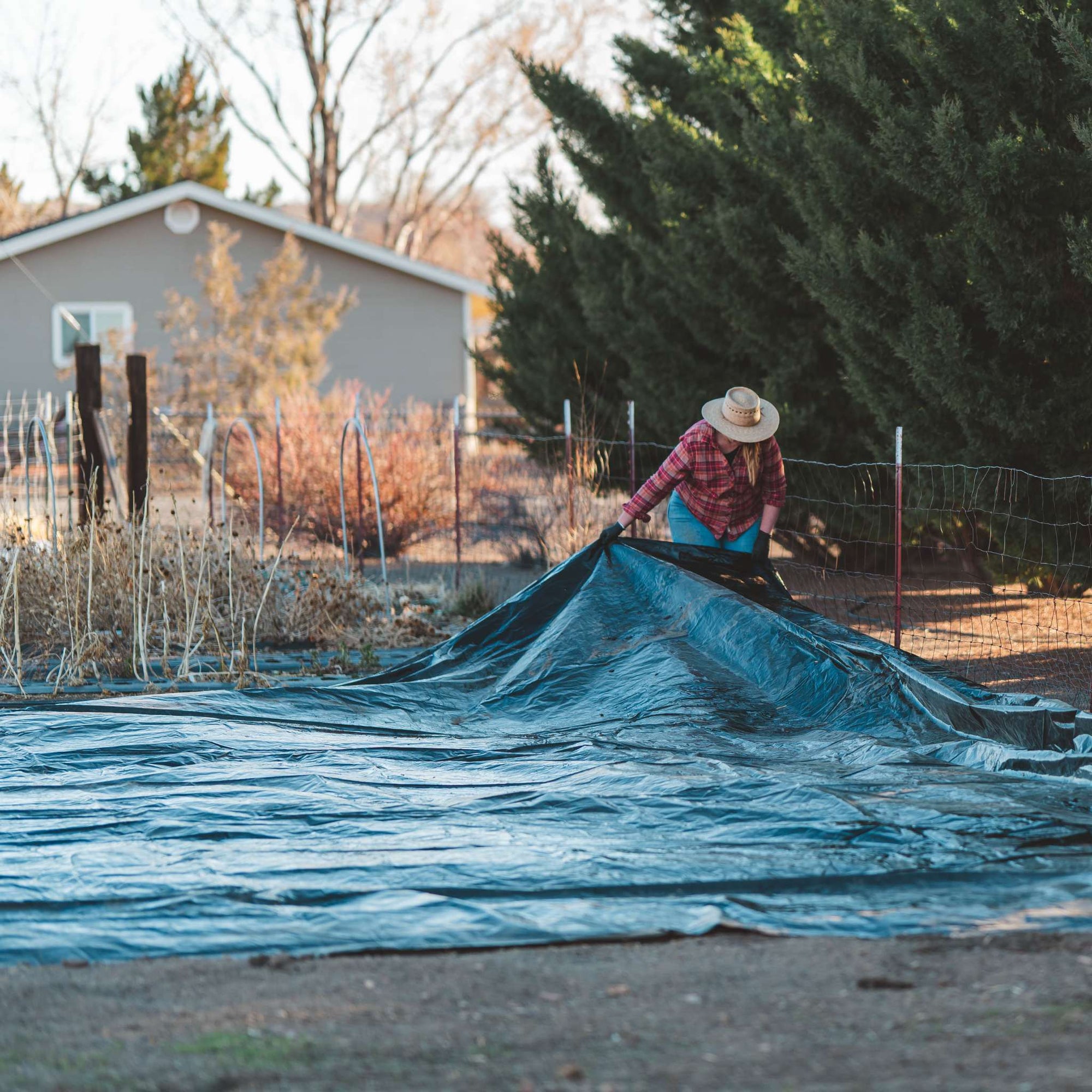 flower farmer ensuring silage tarp has even coverage on plot in flower field