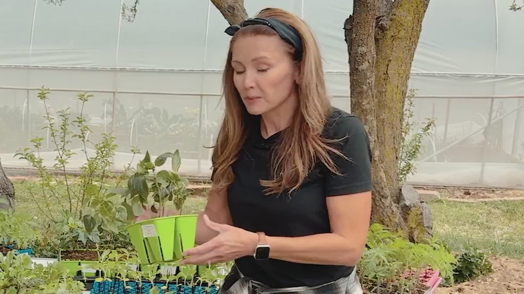 video overview of the modular tray systems from bootstrap farmer