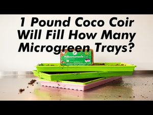 Coco Coir Brick