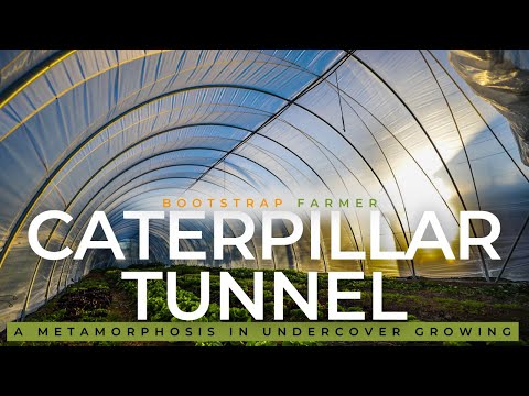 Caterpillar Tunnel Video 