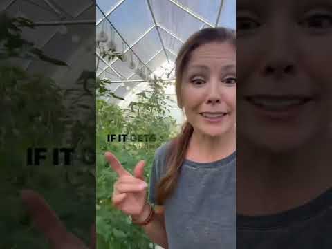 Video showing the benefit of adding ventilation to a hoop house