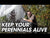 Video showing building of the tree protector diy